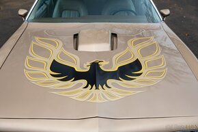 Pontiac Firebird Trans-Am - 7