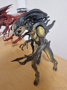 Aliens - Genocide Red Queen, Predalien Hybrid, Xenomorph - 7