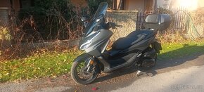 Honda forza 125 R.v.2023 - 7