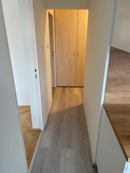 Pronájem bytu 2+1 56 m² s balkónem , od 1.4.2025 - 7