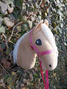 Hobby horse - 7