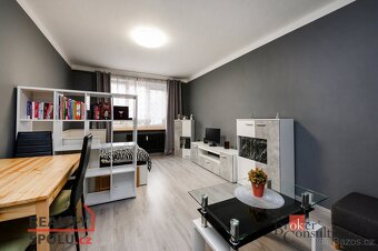 Prodej, byty/1+1, 40 m2, Nepomucká 178/14, Černice, 32600 Pl - 7