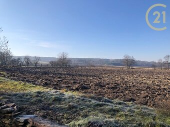 Stavební pozemek v Kozašicích, 808 m2 – klidné bydlení s ... - 7