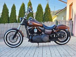 Harley Davidson FXDB Dyna Street Bob 103 - 7