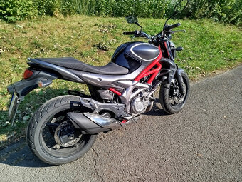 Suzuki SFV 650 Gladius 35kW - 7