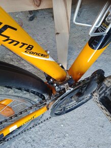 Author Profile MTB xc - 7