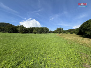 Prodej pole, 52414 m², Třebenice - 7