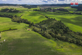 Prodej pole, 11338 m², Sedliště - 7