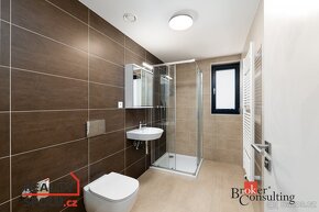 Pronájem, byty/1+kk, 54 m2, Kartónová 2844/10, Východní Před - 7