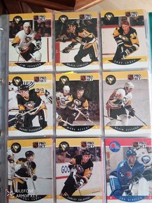 Hokejové karty Pro-set 91 - 7