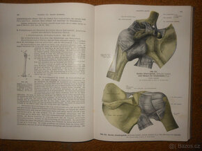 Staré knihy Anatomie člověka - 7