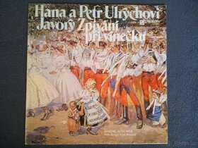 LP desky - československý pop, folk od 60 Kč - 7