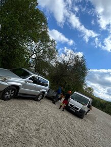 Nabízím arboristické služby - péče o zeleň, kácení stromů - 7