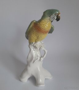 Starožitná porcelánová figura papouška - ENS - Německo - 7