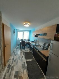 Apartmán s Privátní Vířivkou v Bzenci - 7