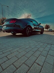 Ford Mustang,3.7l,USA,224kw -vyjimky zapsane - 7