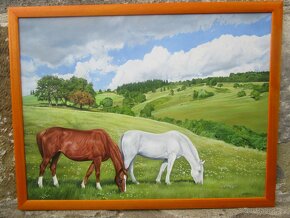 obrazy  -námět koně-olejomalba-akvarel - 7