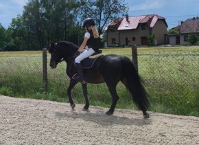 Sportovní pony kat.A - 7