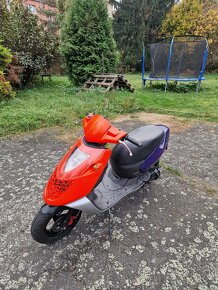 Aprilia Sonic 50-70cm,14.5koně,Kompletní úprava - 7