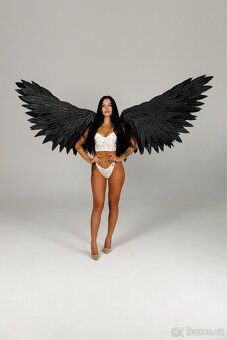 Angel WINGS Black 180cm COSPLAY - 7