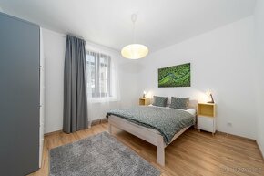 elegantní horský apartmán 3+kk - Mariánská Hora, Albrechtice - 7