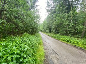 Pozemek ostatní plocha a lesní pozemek Svinky - 7