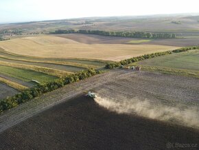 Realizujeme sklizeň slunečnice, soje - 7