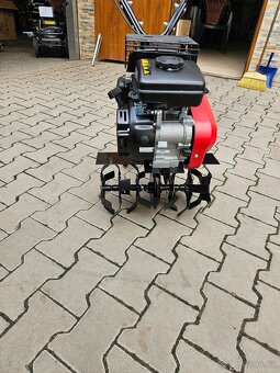 Rotavator cedrus - 7