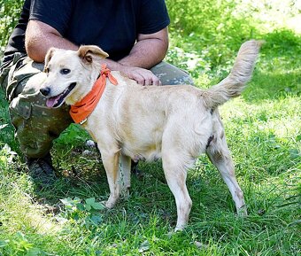 ZDENKA K ADOPCI - 2 ROKY, HODNÁ, MÁ RÁDA POZORNOST,HRAVÁ - 7