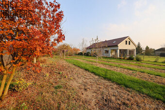 Prodej stavebního pozemku Jenišovice u Mělníka 801 m2 - 7