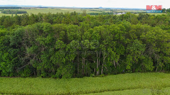 Prodej pole, 27000 m², Tuřany - 7