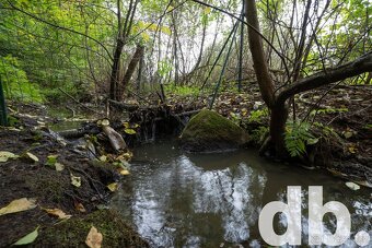 Prodej, Pozemky pro bydlení, 832 m2 - Kamenice - Skuheř - 8