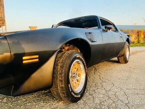 Pontiac Firebird Trans Am 1979, V8 400cui - 8