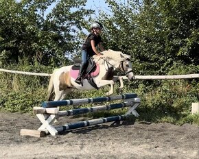 SLEVA ‼️ ❤ Pony kobylka 122 cm ❤ - 8