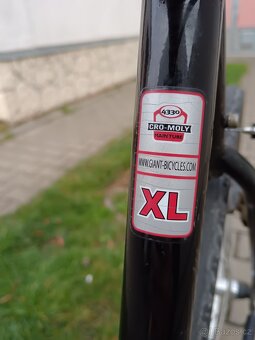 Kolo Giant Xl - 8