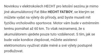 Elektrokolo Hecht FATBOY SILVER - 8