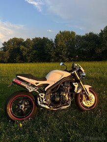 Triumph Speed triple - 8