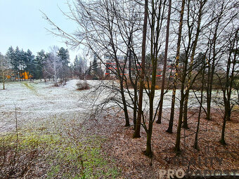 Prodej zrekonstruovaného bytu 3+1 s balkonem na Lesné, Brno  - 8