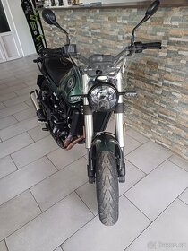 Benelli Leoncino 500, záruka 4 roky, 35 kw - 8