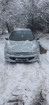 Peugeot 206 - 8