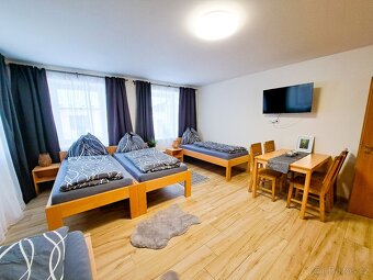 Apartmány v rodinném domě Týn nad Vltavou, Malá Strana - 8