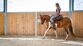 Luxusní charakterní hobby klisna, sorrel tobiano - 8