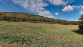 Zemědělská půda, prodej, Slatina, Chudenice, Klatovy - 8