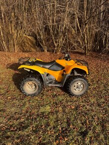 Honda TRX 420 FM 4x4 2007 - 8