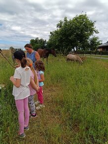 Dětský tábor na Minifarmě u Lenky - 8