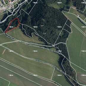 Prodej lesu o výměře 45 000 m2 - 8