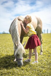 Valch Český sportovní pony - 8