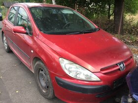 Peugeot 307 - 8