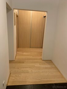 Pronájem bytu 2+1 - 62 m2 + šatna, balkon, sklep a zahrada - 8