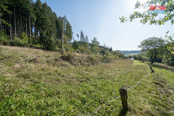 Prodej louky, 5704 m², Valašská Senice - 8